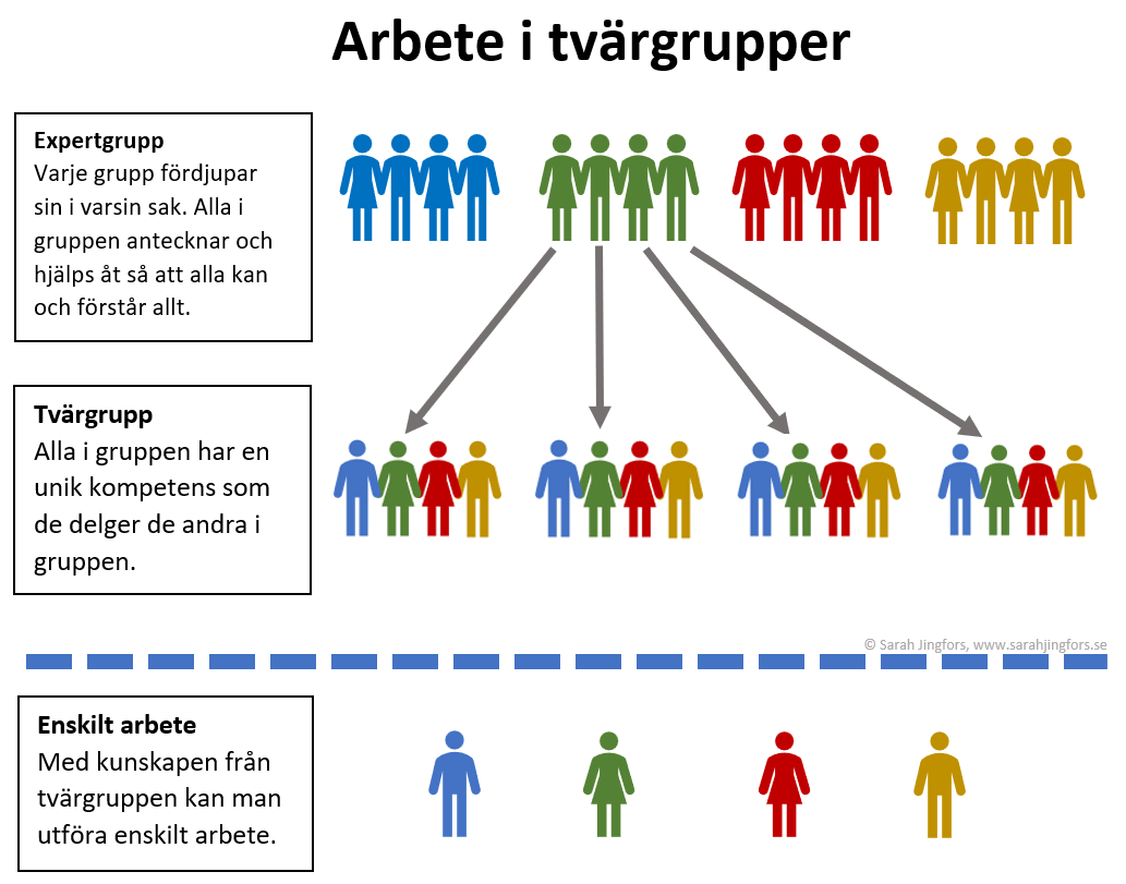 tvärgrupper bild 1 rätt källa