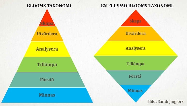 flippad_blooms_taxonomi_002